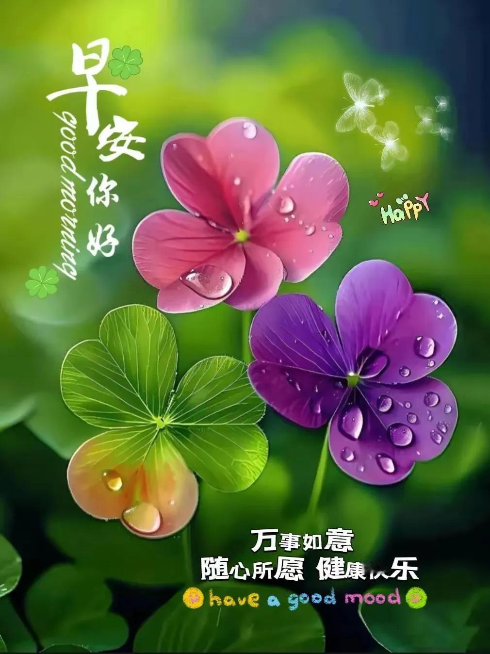 早安，祝你今天愉快！🌸💚🌿