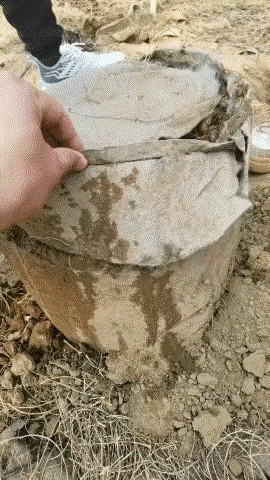 这是养的啥，干什么用的