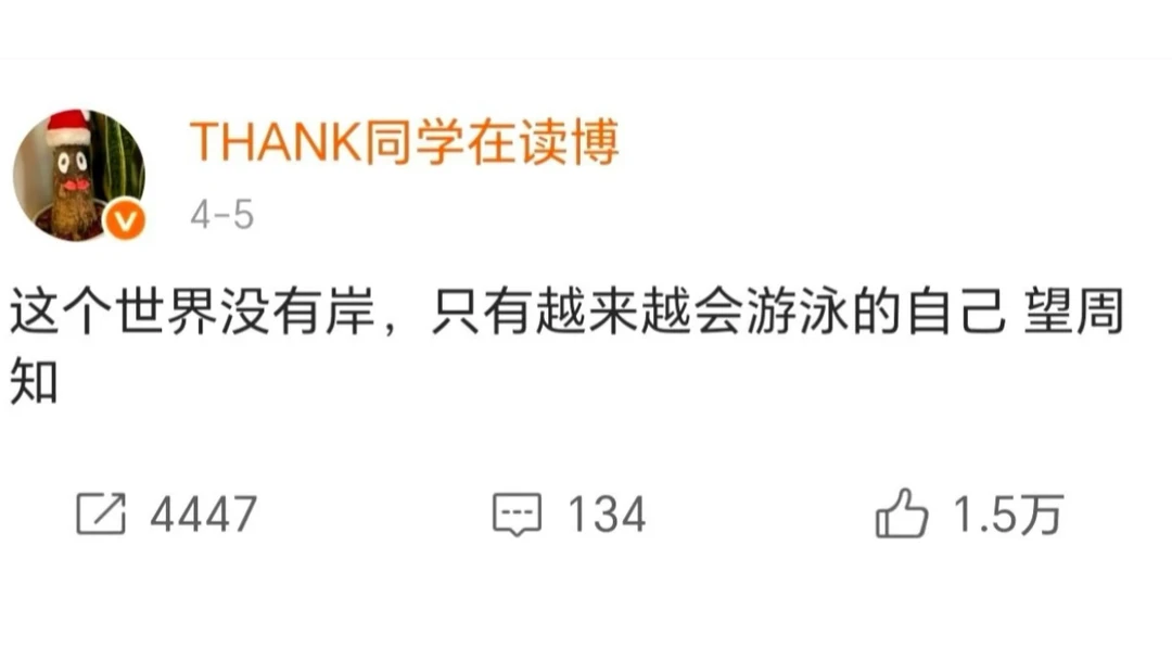 这个世界没有岸