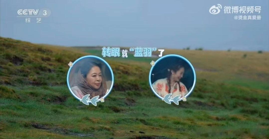 尼格买提说蓝羽没拦雨这段没有剧本刻意设计，就是聊天的时候随口接出来的梗，这种自然
