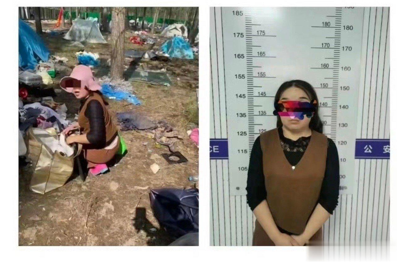 河南南阳迷笛音乐节，对于实施盗窃的部分村民已经被抓获归案！ ​​​