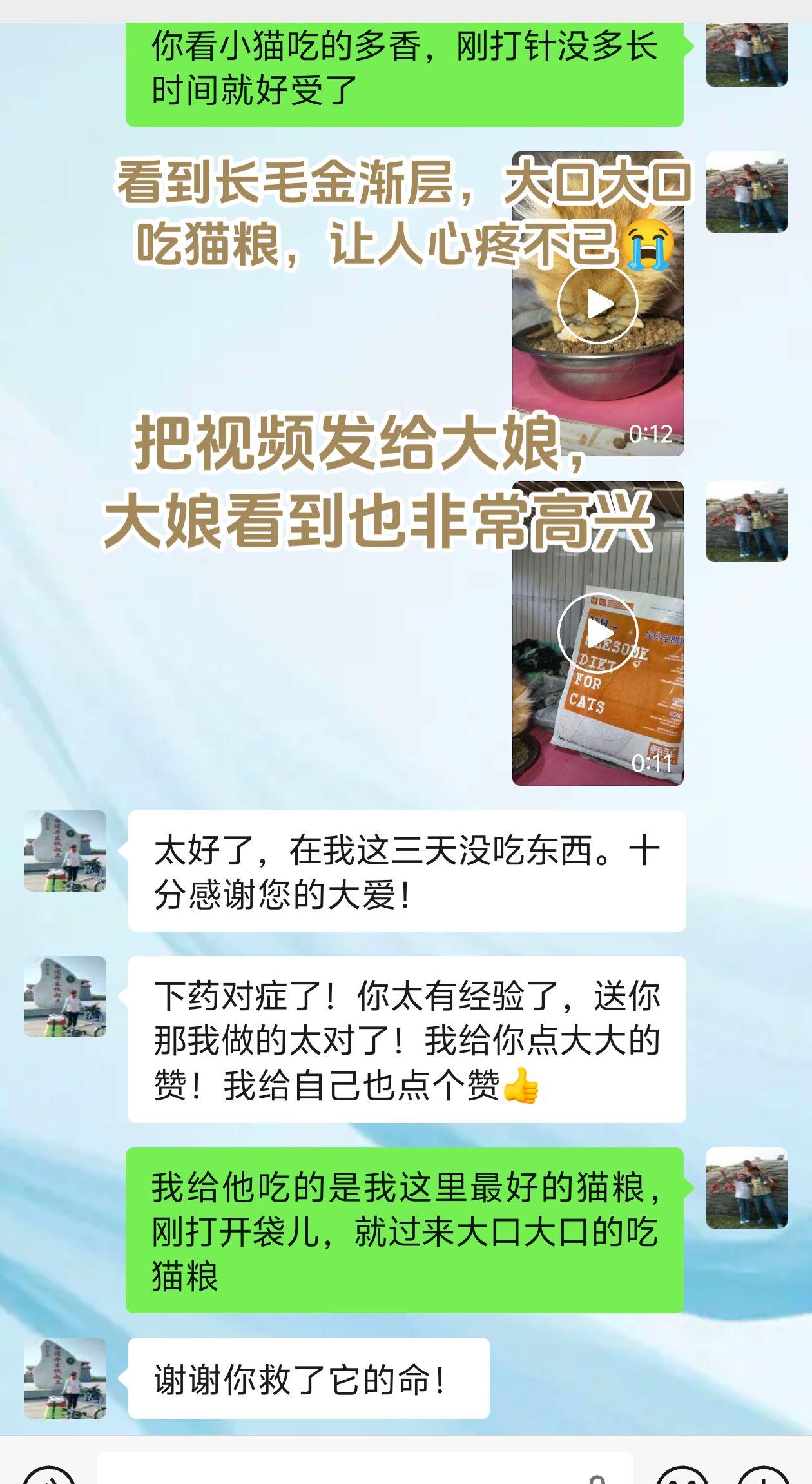 我跟大家说给猫治的时候，最害怕猫孩子不吃饭！大娘说在他那里两三天不吃饭，我心里想