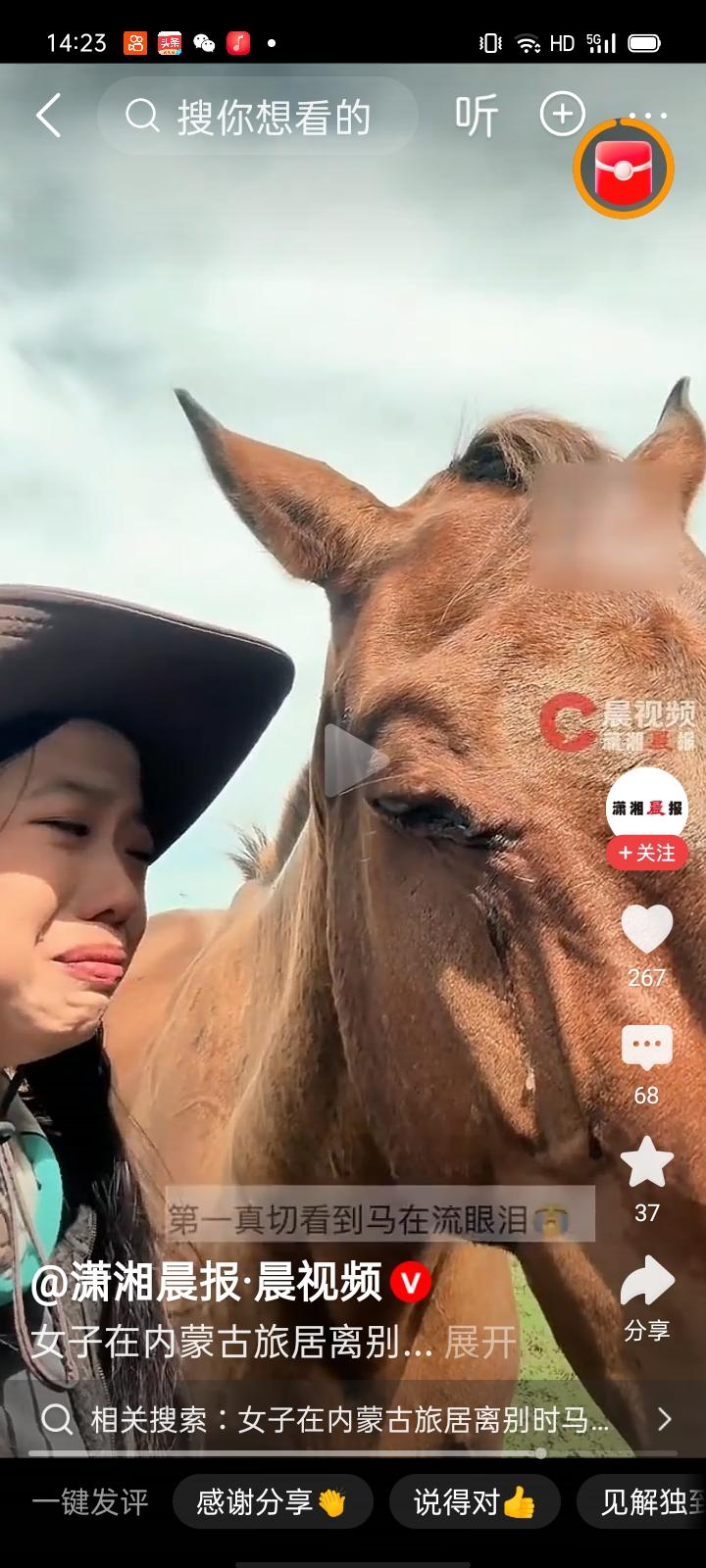 马眼睛流泪是洗涤异物的物理反应，而不是表达情感。这样的视频太戏剧化了
今天女子在