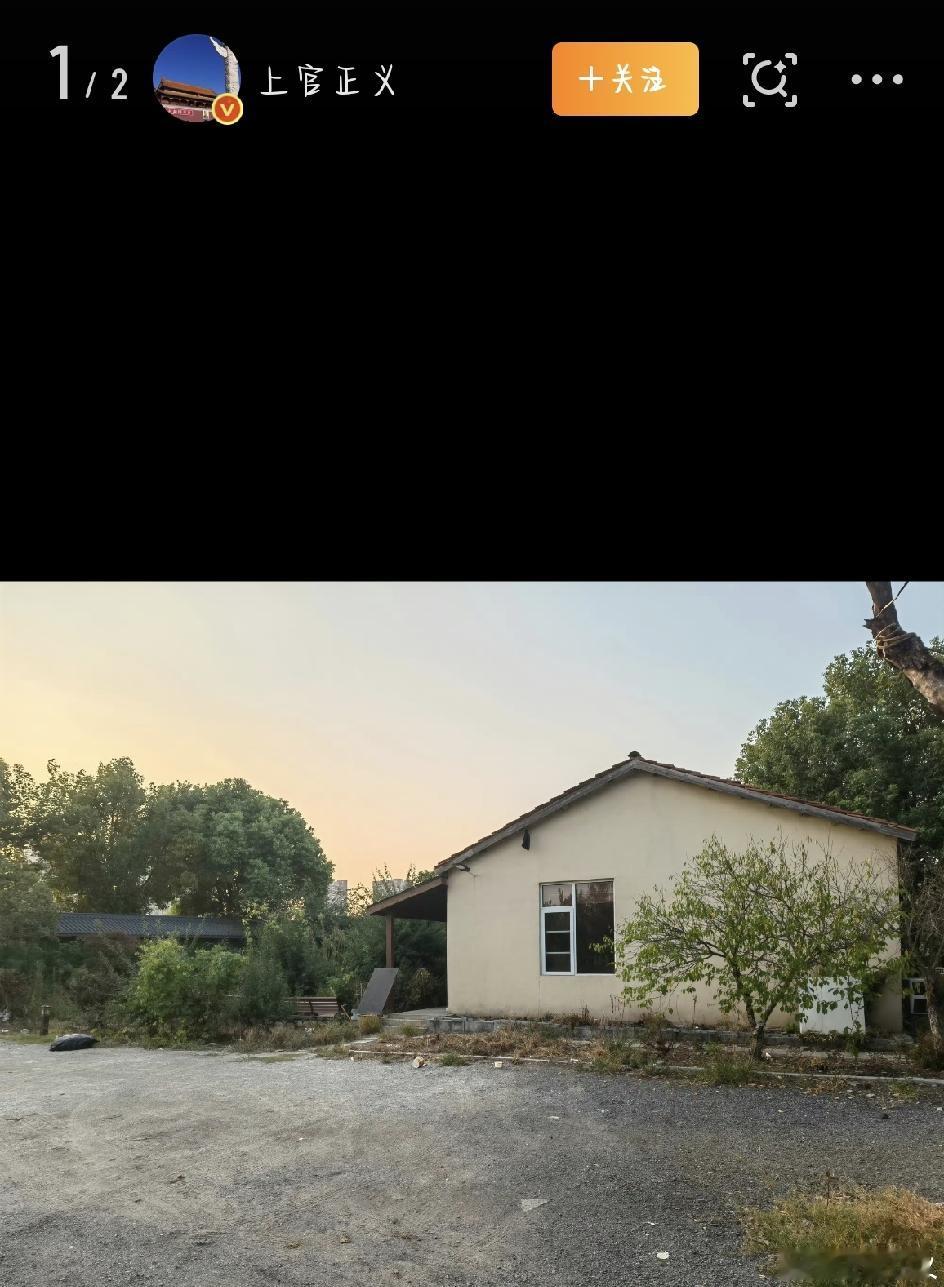 最近，一条新闻看得人后背发凉——志愿者上官正义花了一年时间卧底，终于揭开了一个藏