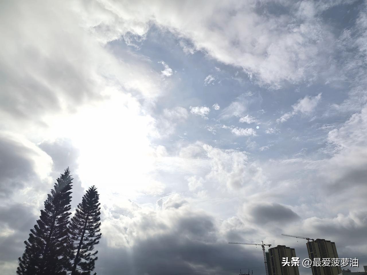 高温蒸煮，又蒸又煮！广东下开水秒变免费桑拿房！

今天（14日），广东有中到强雷