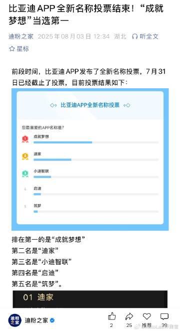 比亚迪让粉丝投票选择APP名字，排第一的是