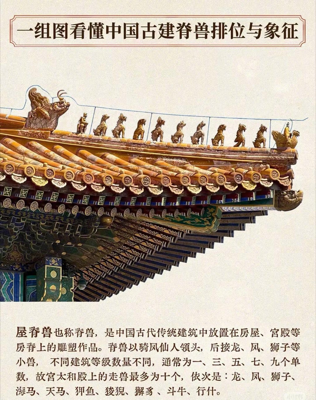 一图看懂五脊六兽[666] ​​​