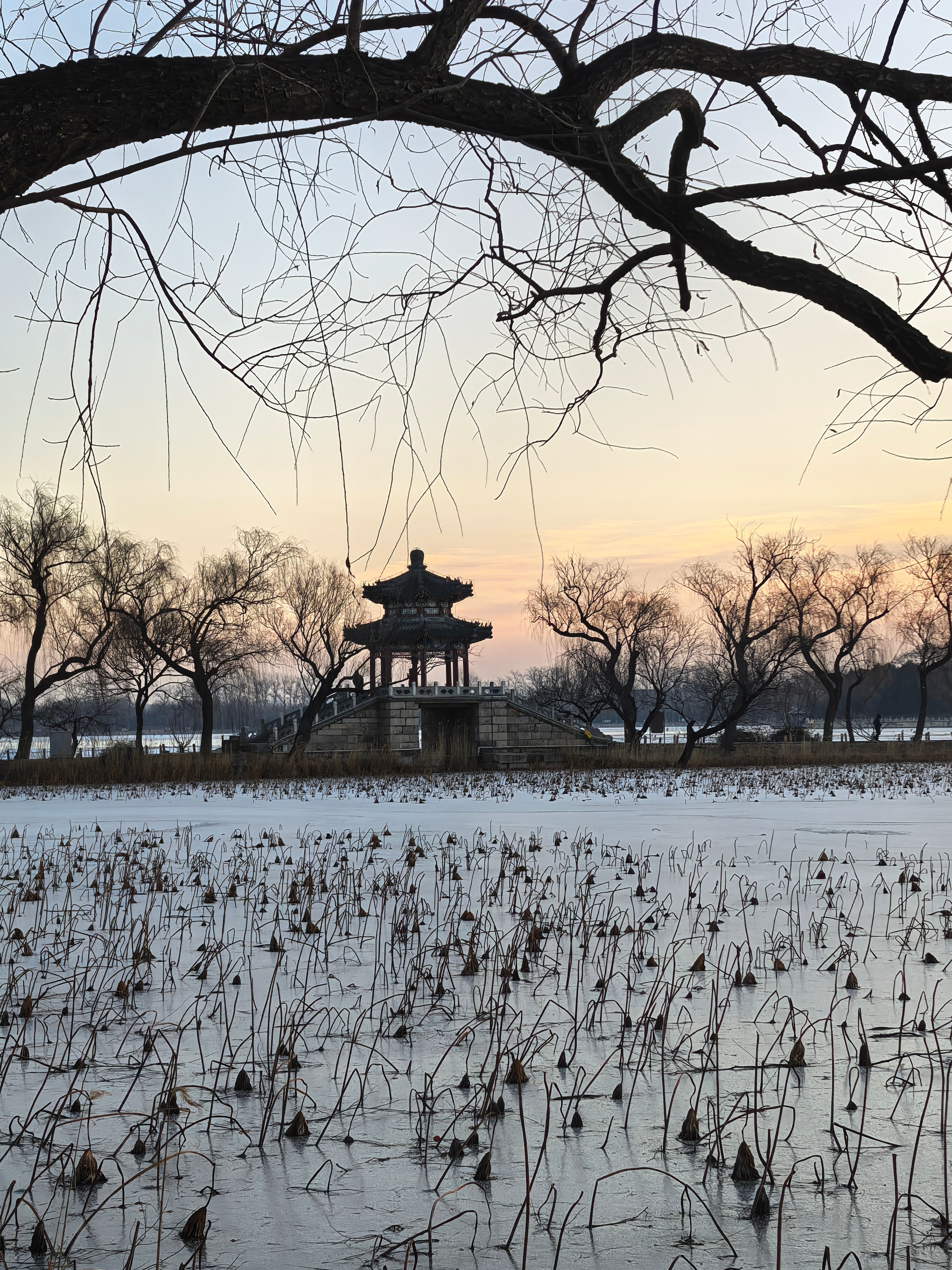 S-人呐，几乎都是不撞南墙不回头，例如我之前说过一万次，要戒烟、戒酒、戒辛辣，几