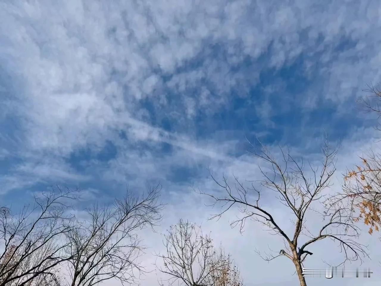 世上没有凭空而起的楼阁，也没有平白无故的成功。
希望自己有所成就，就少不了努力和