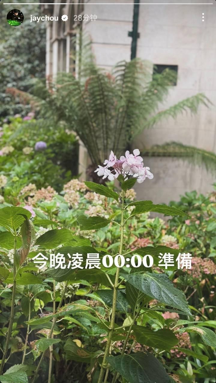 什么什么！！周杰伦更新社媒：今晚凌晨0:00准备是新专辑要来了吗！！！一整个期待