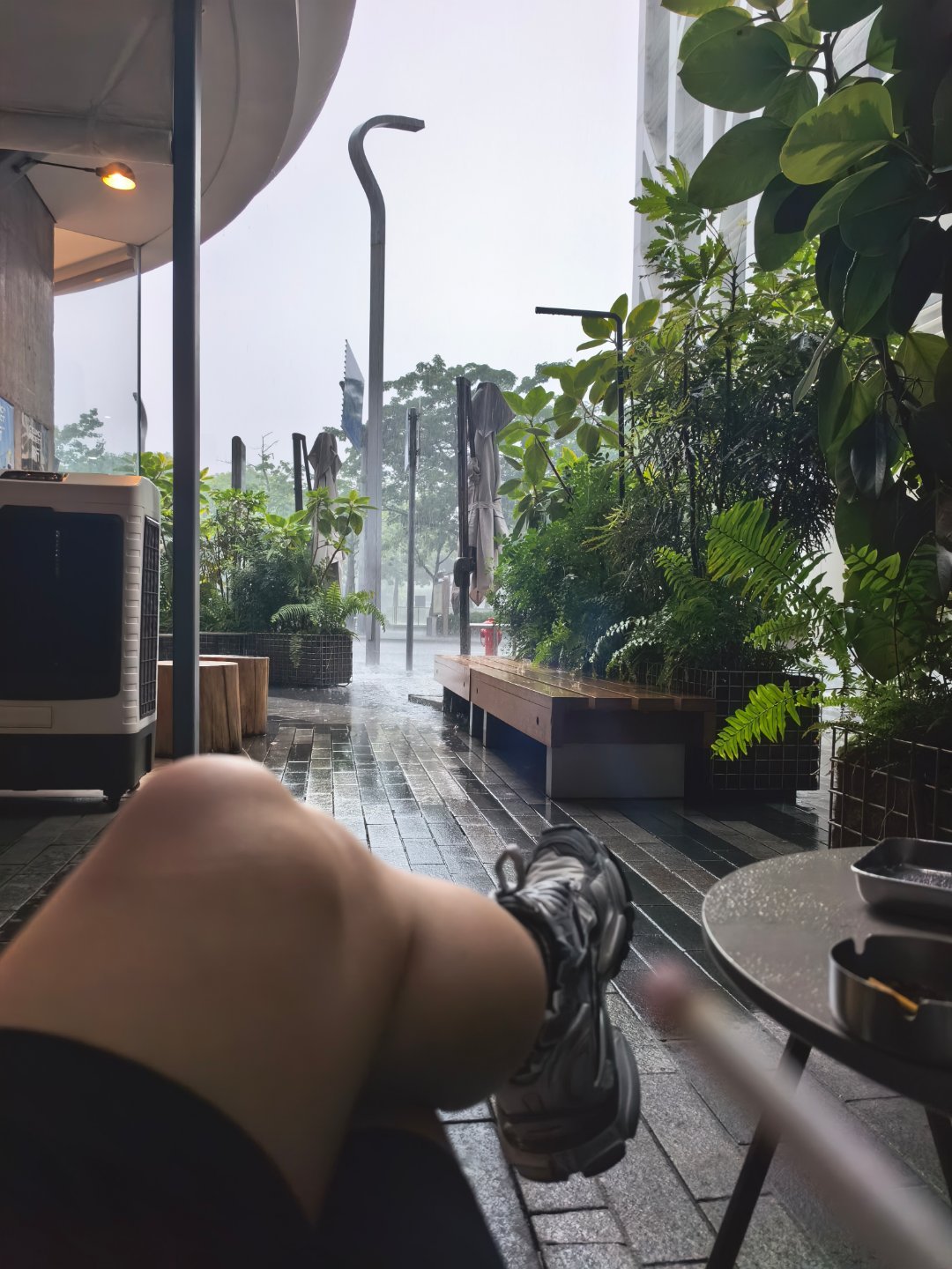 今日入伏 伏日怀古。    今日正式入伏，深圳从昨晚到现在一直狂风暴雨，台风侵袭