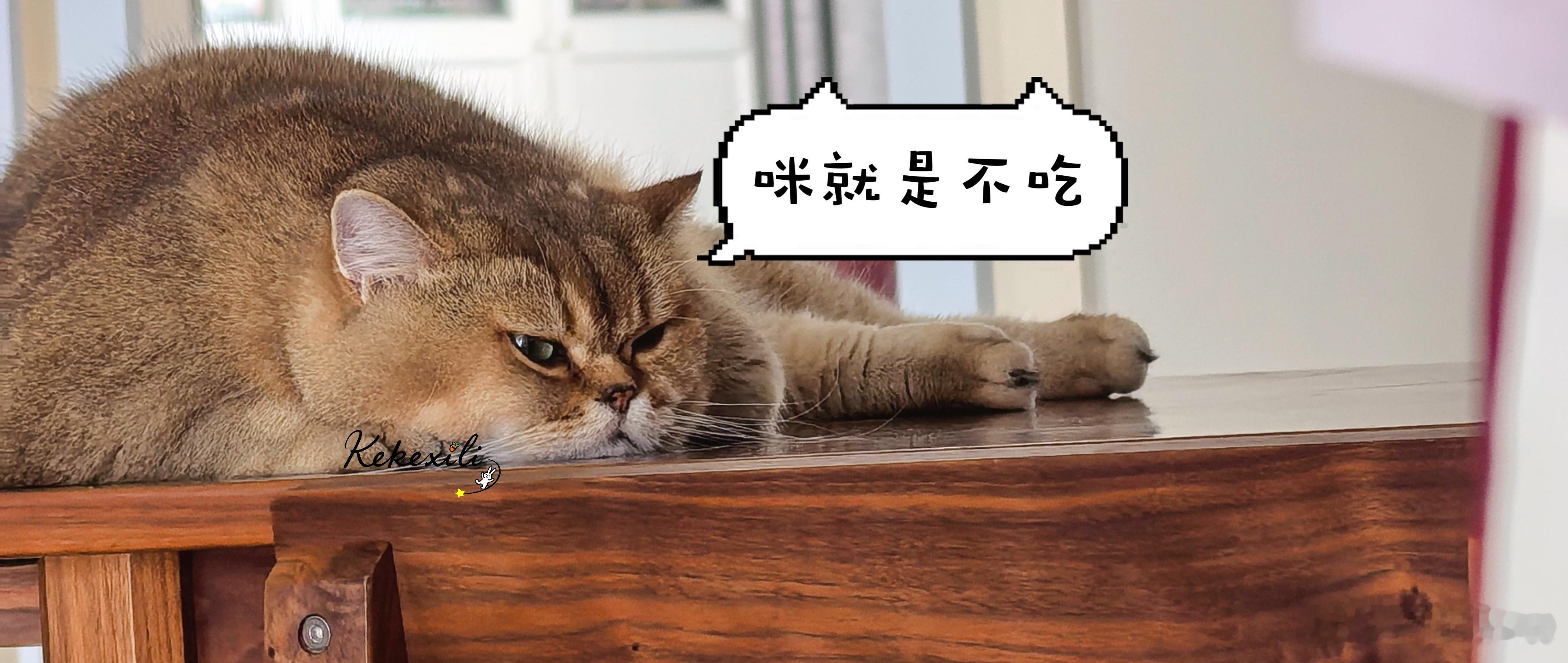 你说，你对新粮到底哪里不满意？我就放了那么一丢丢，全给你剔出来了。  ​​​