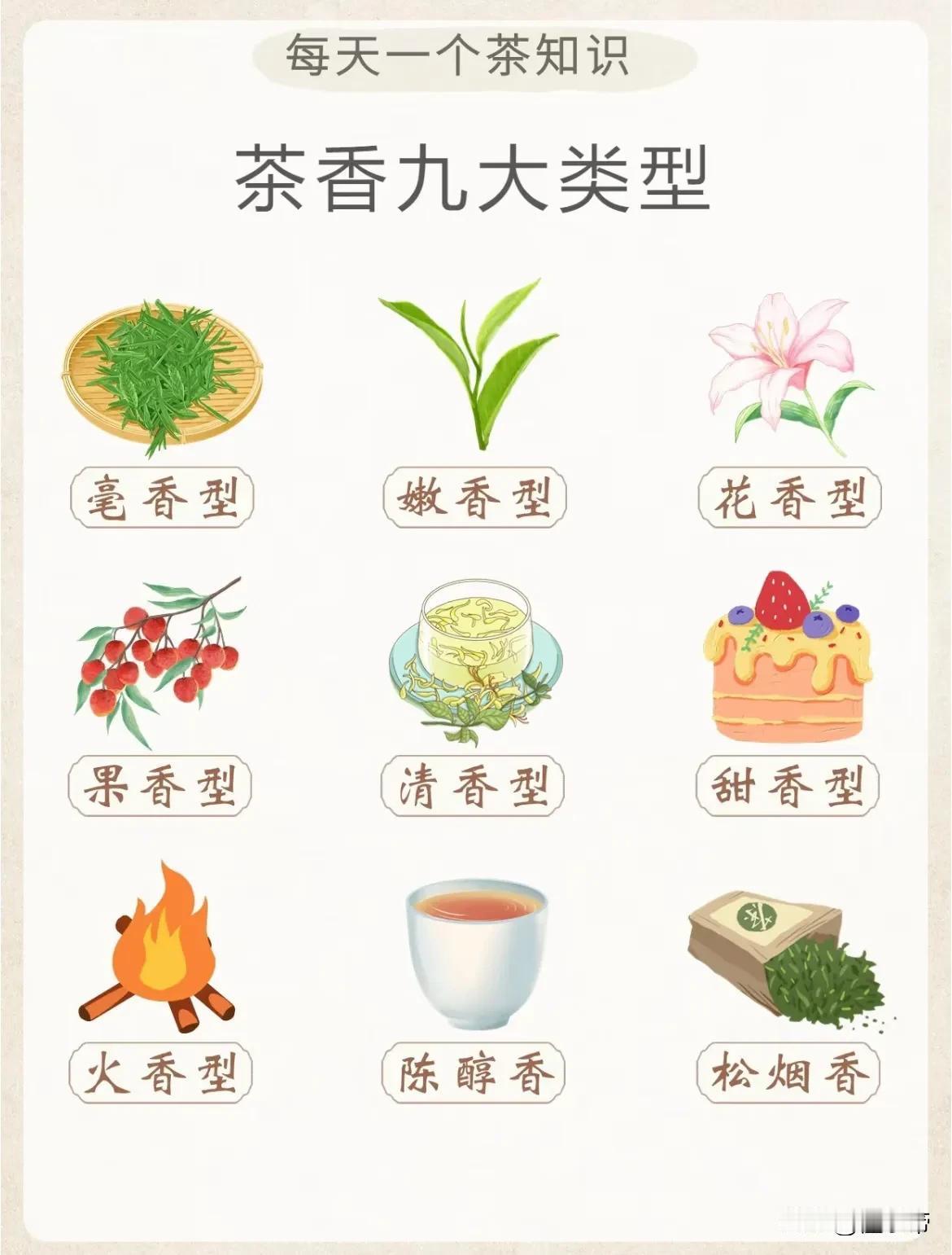 茶香九大类型你都了解吗？