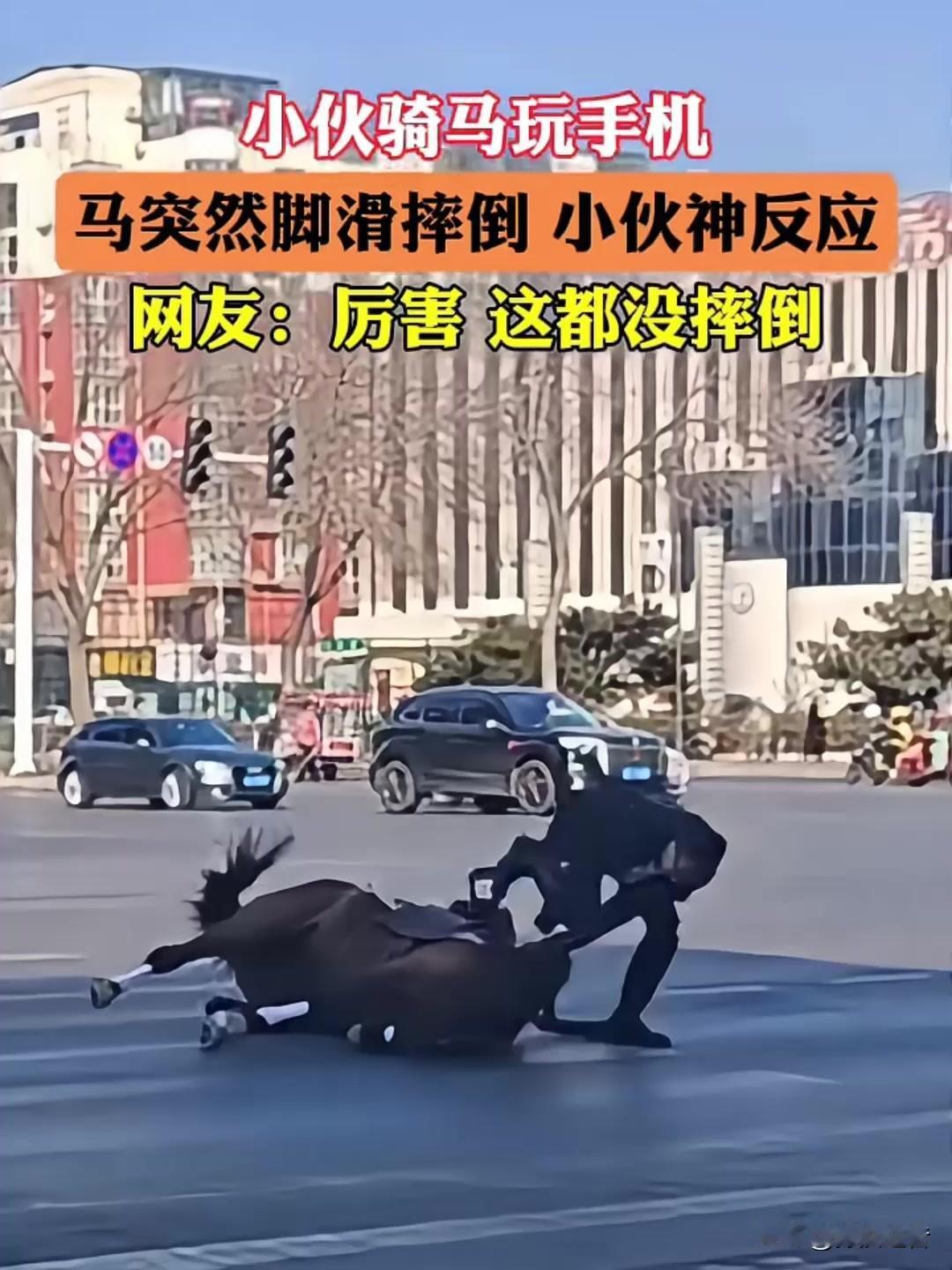 上联：平路跌死马
下联：？？？
友友请下联 友友请出下联 
看到“平路跌死马”这