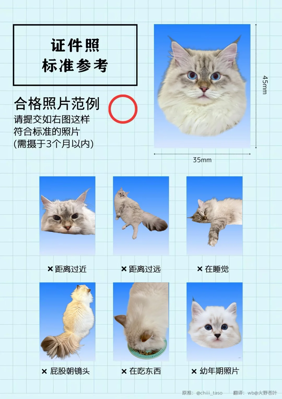 西森啵啵的证件照参考出炉了