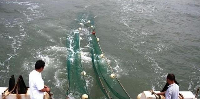 1979年，索马里向我国付了一半定金，购买了24架歼6战斗机，哪知道，战斗机交货