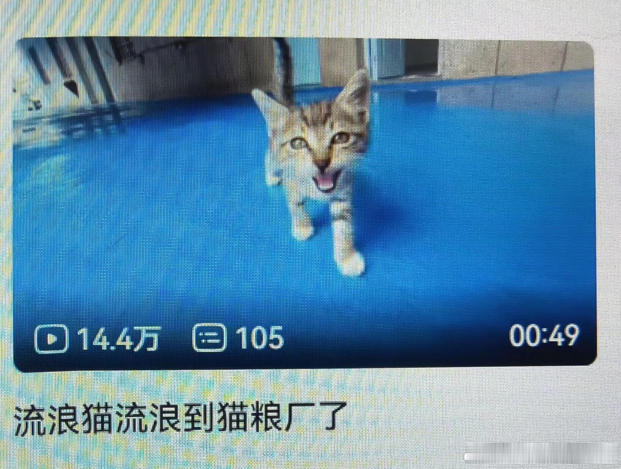我偶然入坑一对热度很高的产品： 