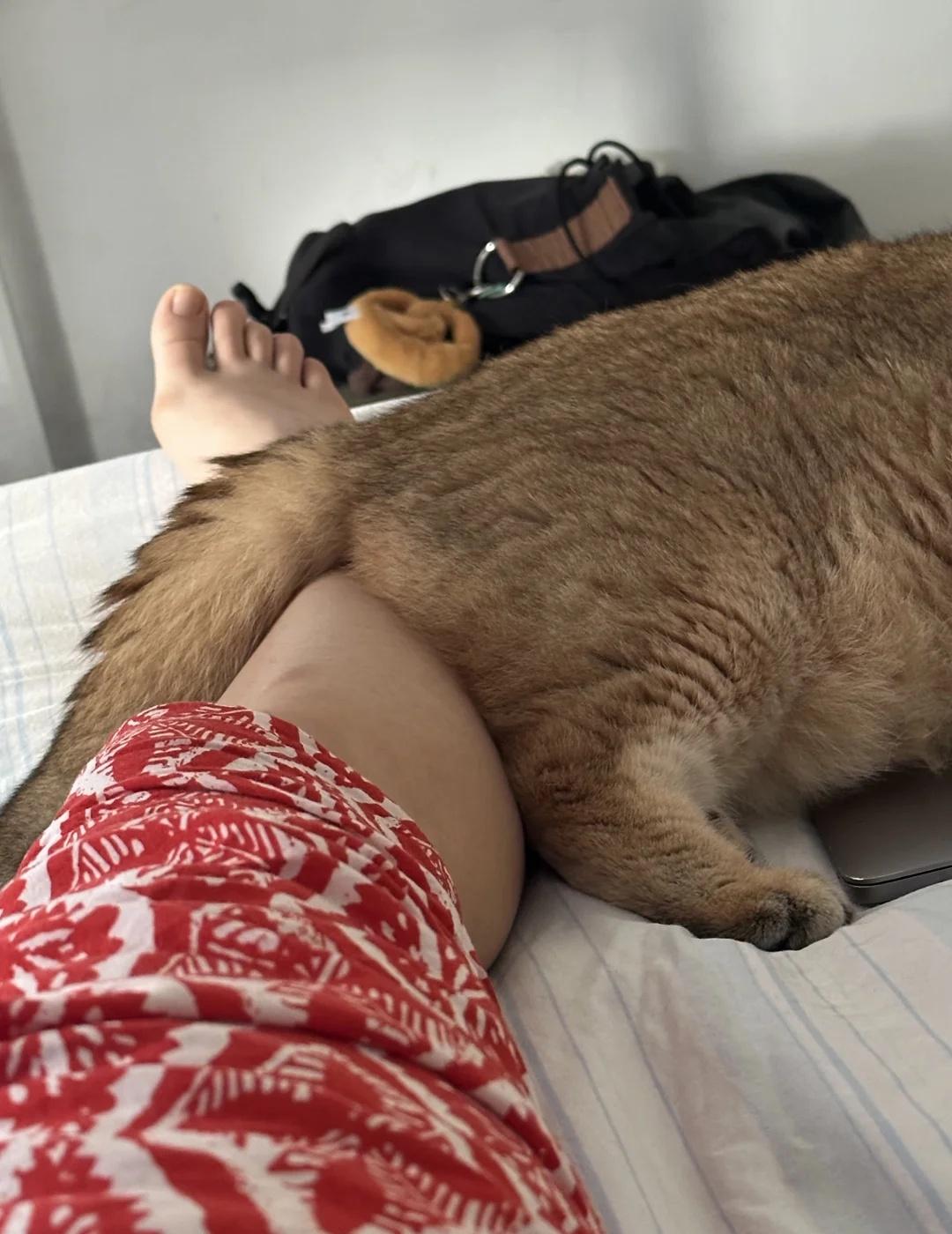 小米的爱❤️