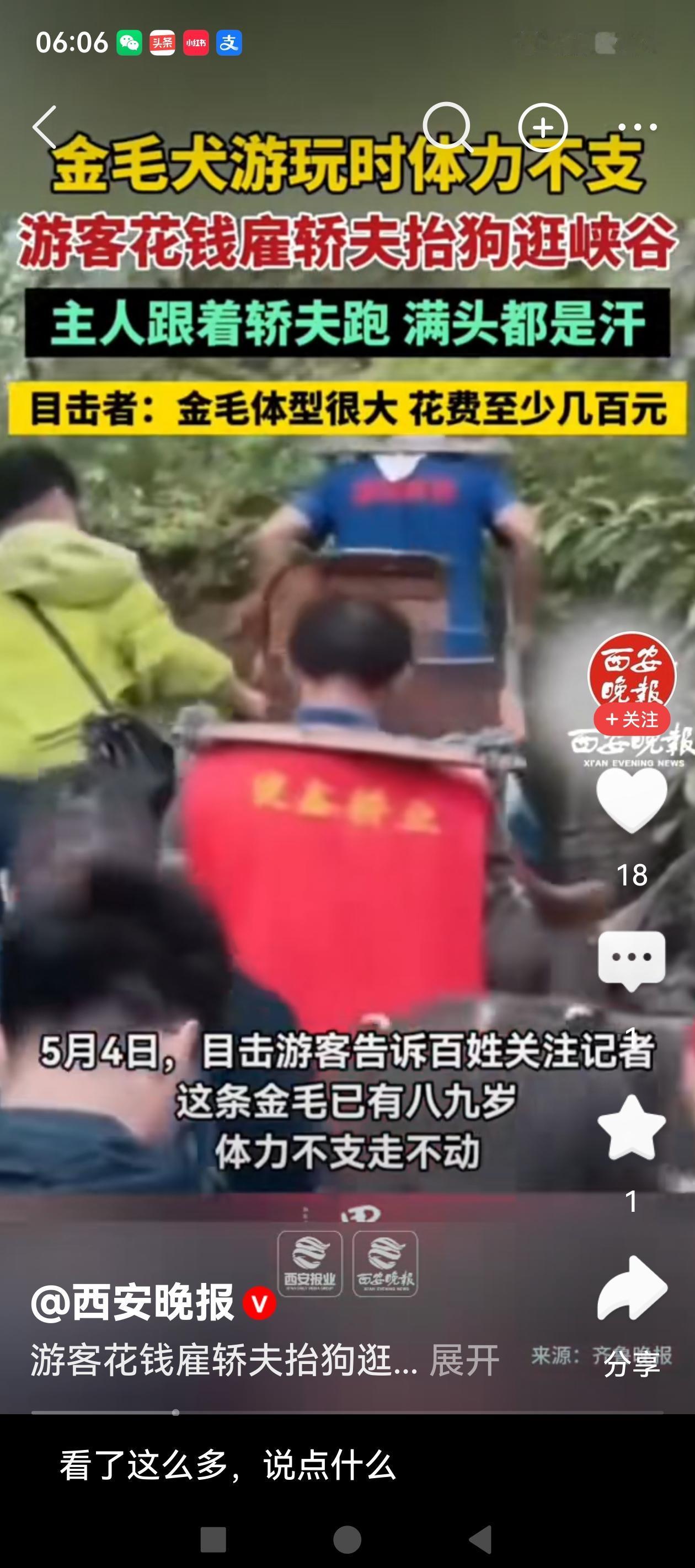 主人雇轿夫抬着爱犬爬山，夫妻两人汗流浃背一路跟着小跑。五一期间出现在恩施大峡谷的