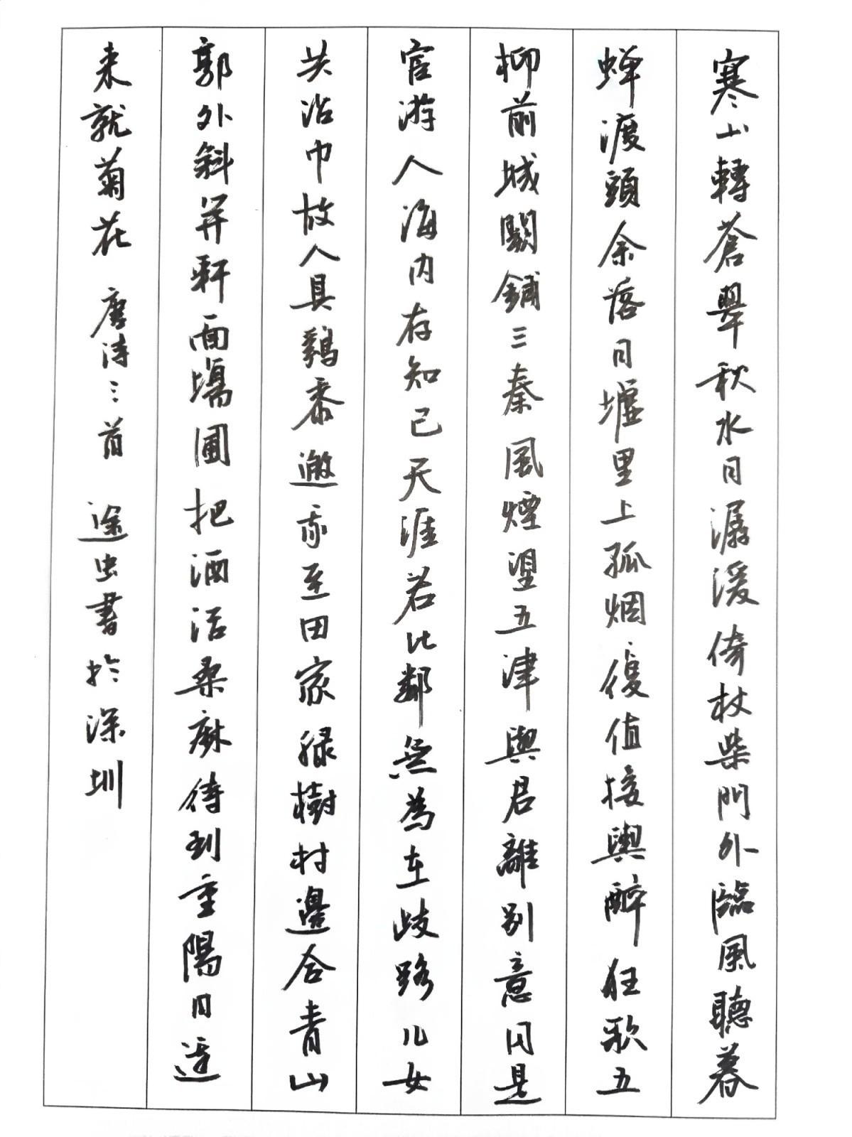 午间饭后练字。秀丽笔书写。书法爱好者 练笔书法 中性笔练字笔