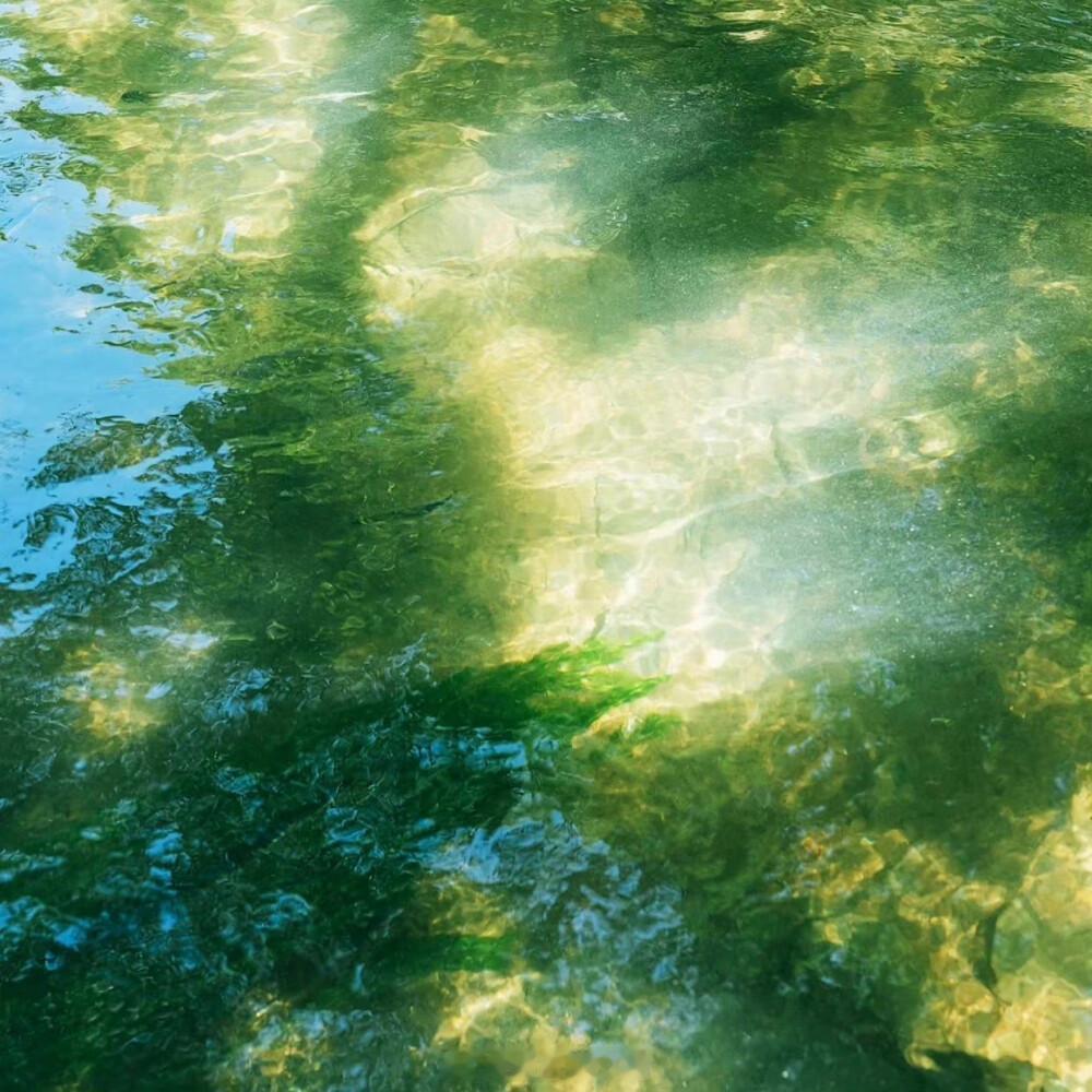 夏天永远热烈，我爱的少年也是。——《告白》#早安# #推文# ​​​