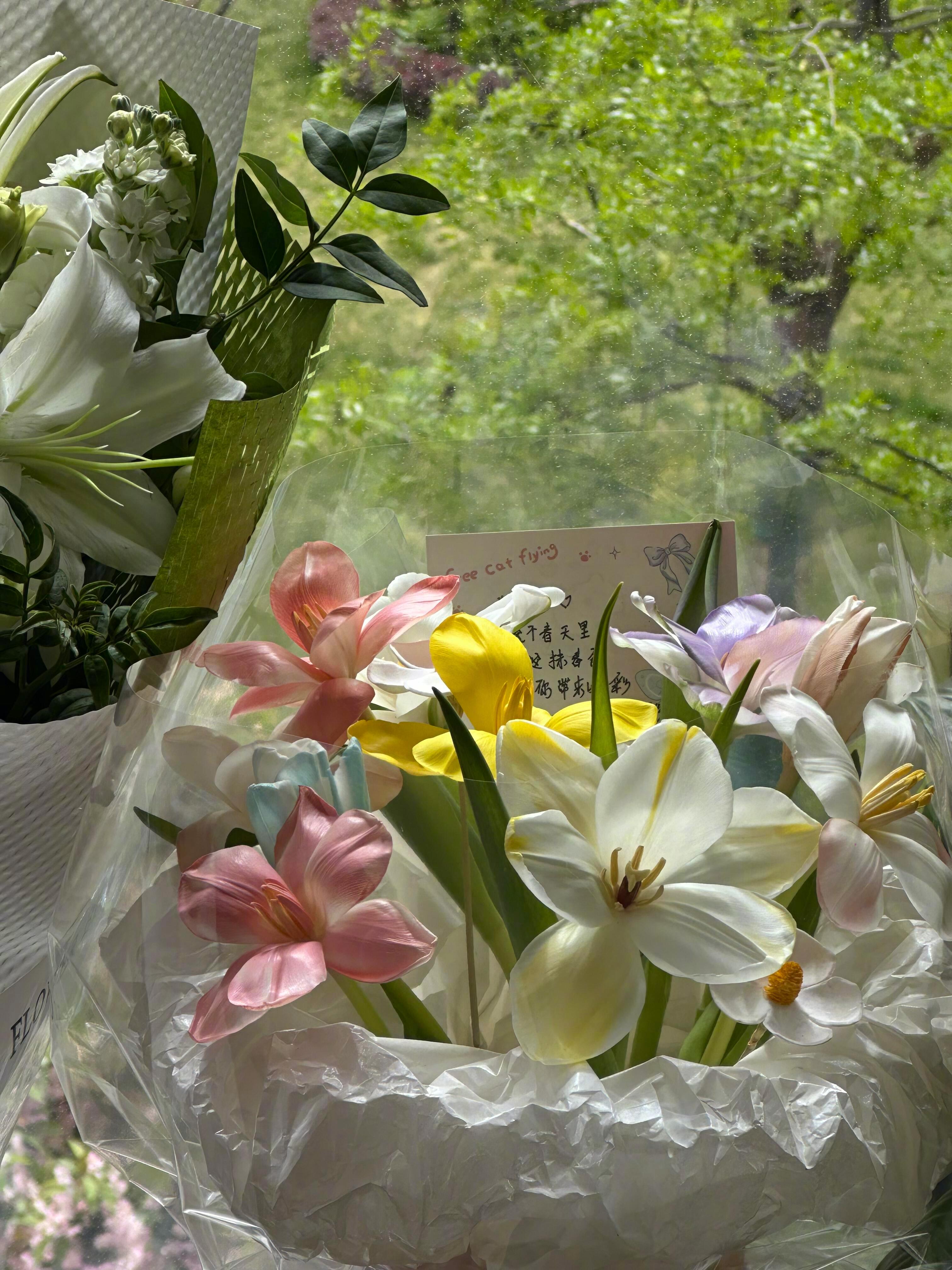 ✌🏻＞𐋣＜🥖一口吃掉烦恼🍄ꔛ🍙*₊ 