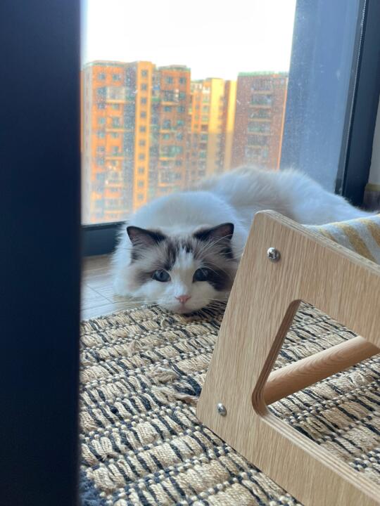 hi 好久没露脸了🧡