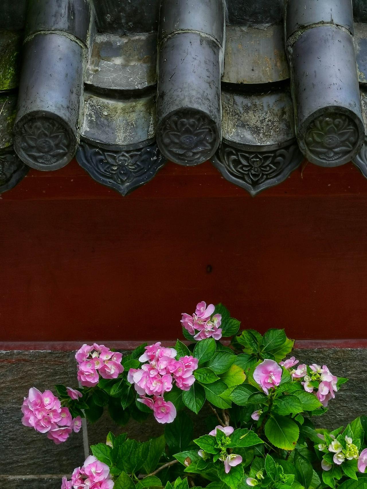 “你未看此花时，此花与汝心同归于寂；你来看此花时，则此花颜色一时明白起来。”王阳