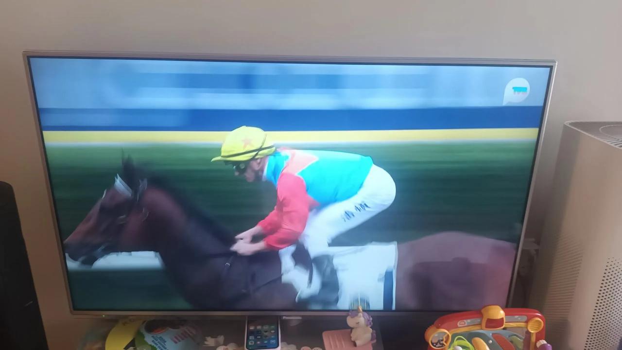 清明假期特别安排推迟一天的赛马，“嘉应高升”再次以无敌姿态轻取头马，创下19场连