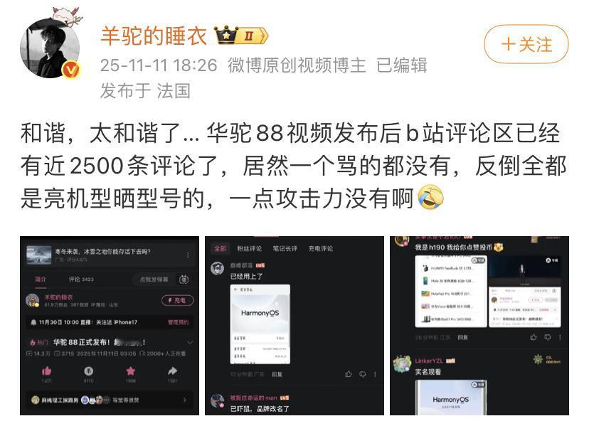 羊驼的睡衣：感觉非常震惊，因为讽刺另一个品牌，竟然视频下一个嘲讽的人都没有！
