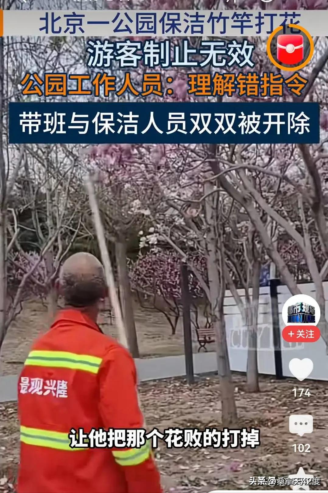 公园打花的保洁老人终被开除
网上吵的沸沸扬扬北京兴隆郊野公园，保洁工人棍打盛开木