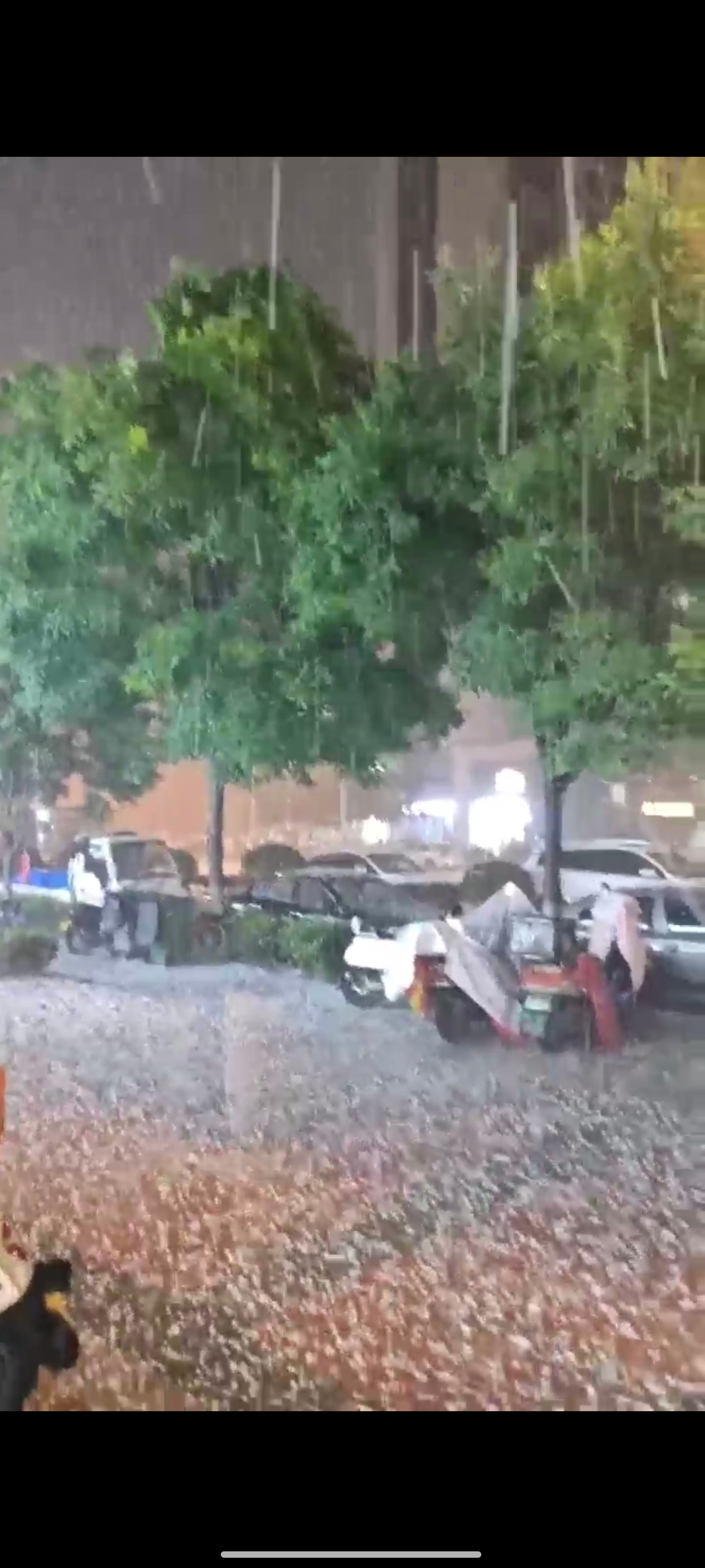突然大雨和冰雹就来了[跪了] ​​​