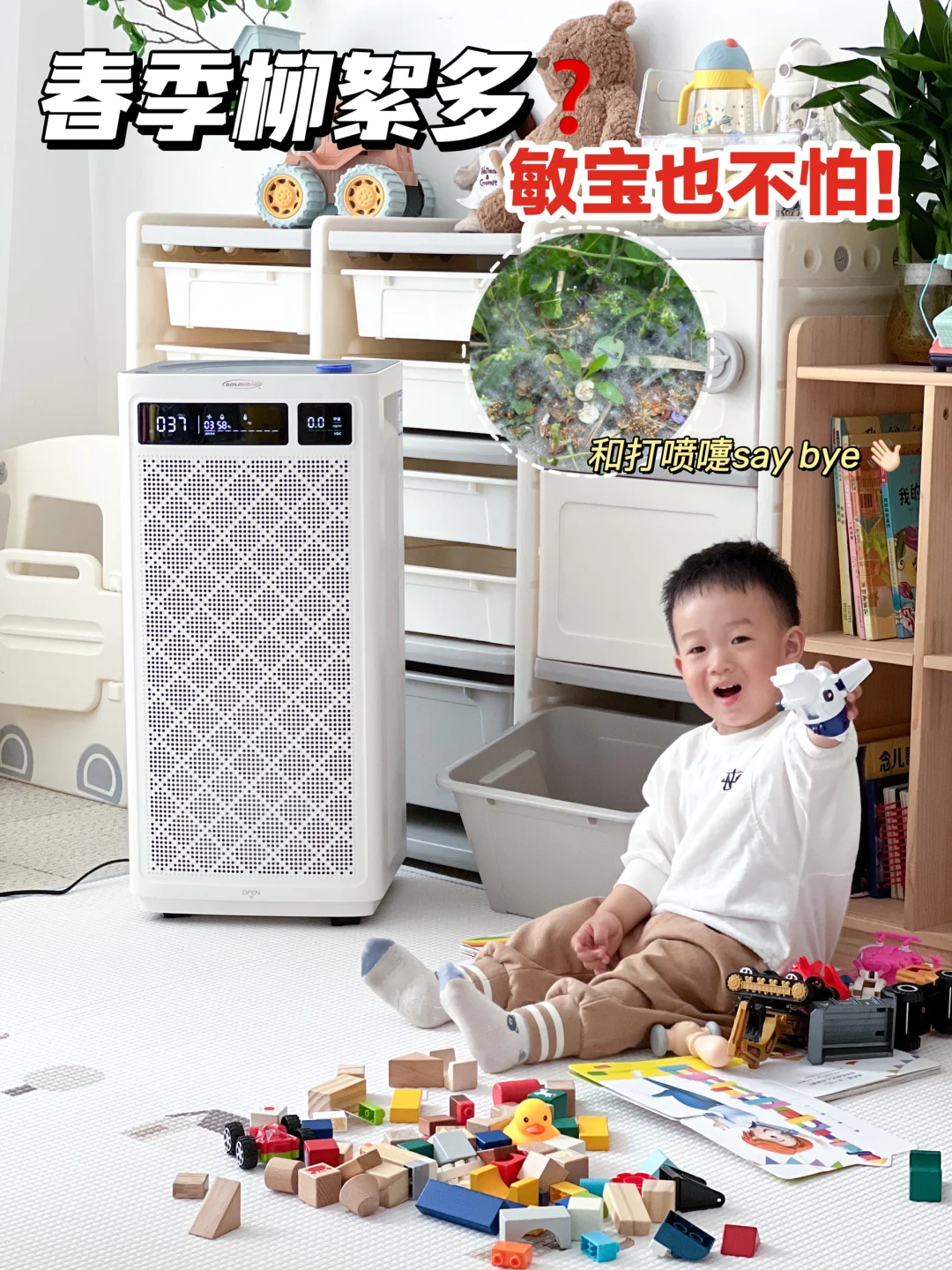 春季柳絮乱飞丨👃星人也能宅家呼吸新鲜空气