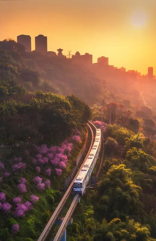 11月1日郑丽文完成国民党主席交接，场面却“冷热不均”。党内大咖都来撑场面，可地