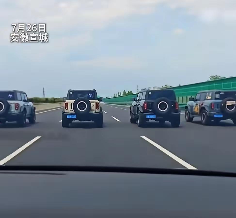 车  先进了 路也宽敞了 开车的人却变得没了人性底线

世界之大无奇不有，林子大