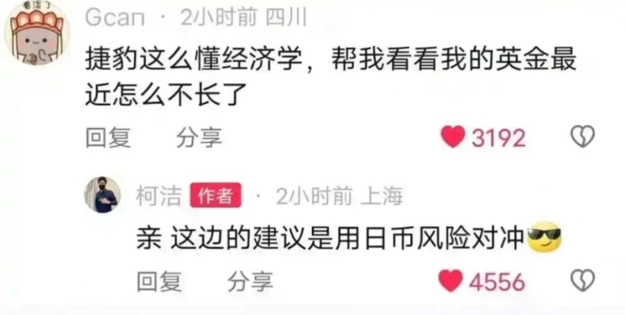 经济学家柯洁 
