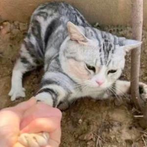 在忙着多赚点儿