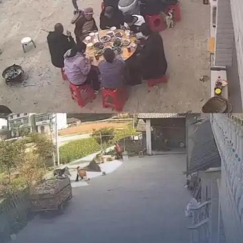 这种“断崖式”的冷清，是当代中国家庭最具张力的岁时隐痛。初一的43人代表着宗族的