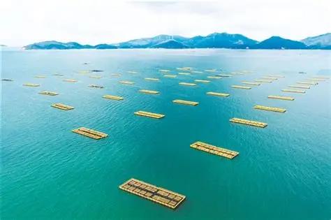 江门造了艘全国最大的 “海上巨无霸”，这座广东小城正在悄悄逆袭



7 月 8