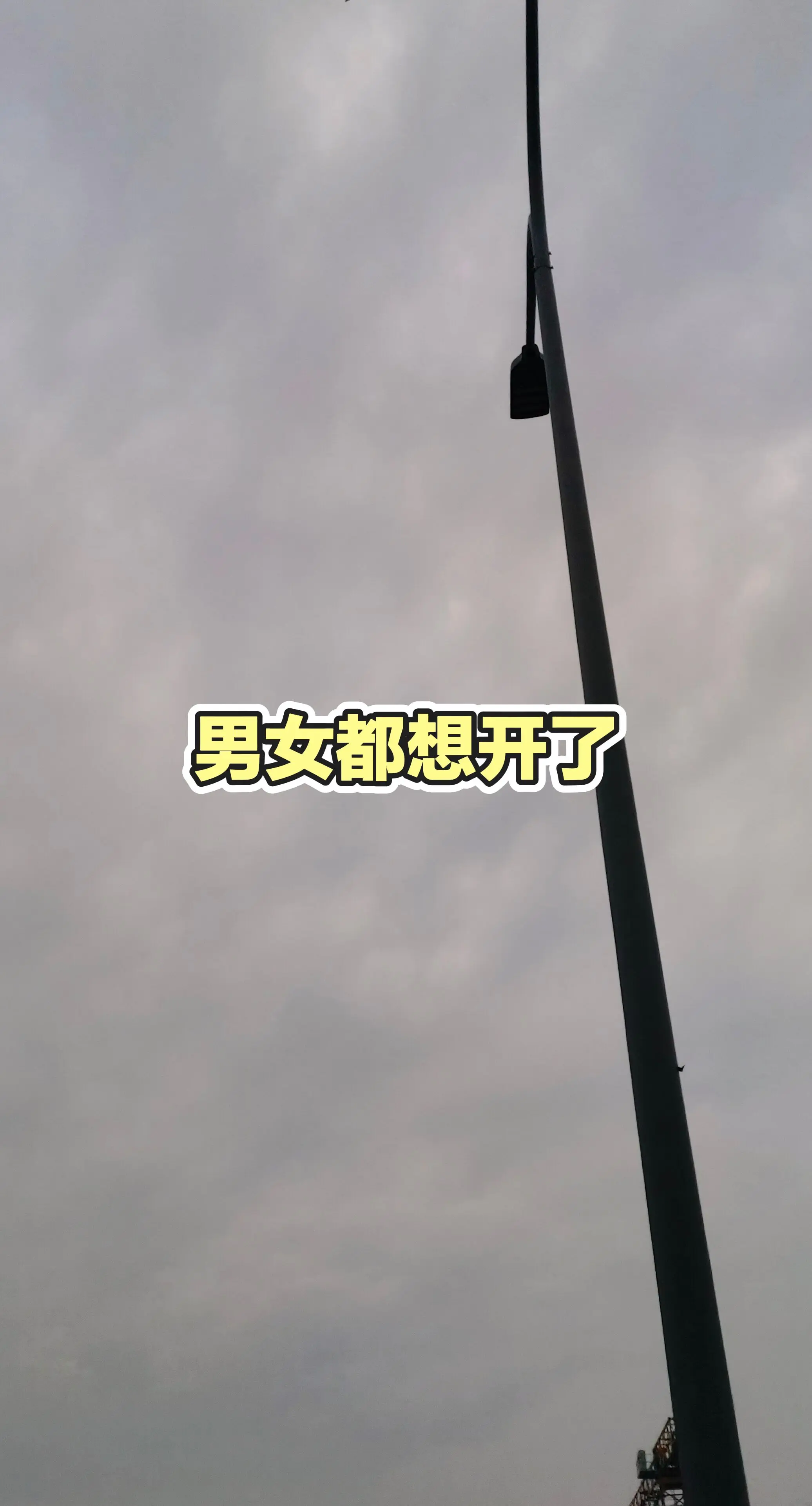 每日分享