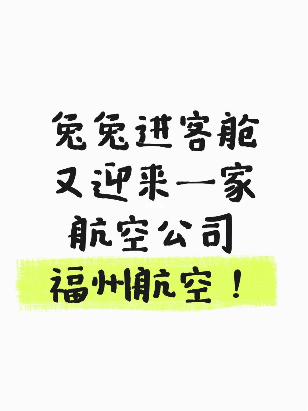 兔兔进客舱！