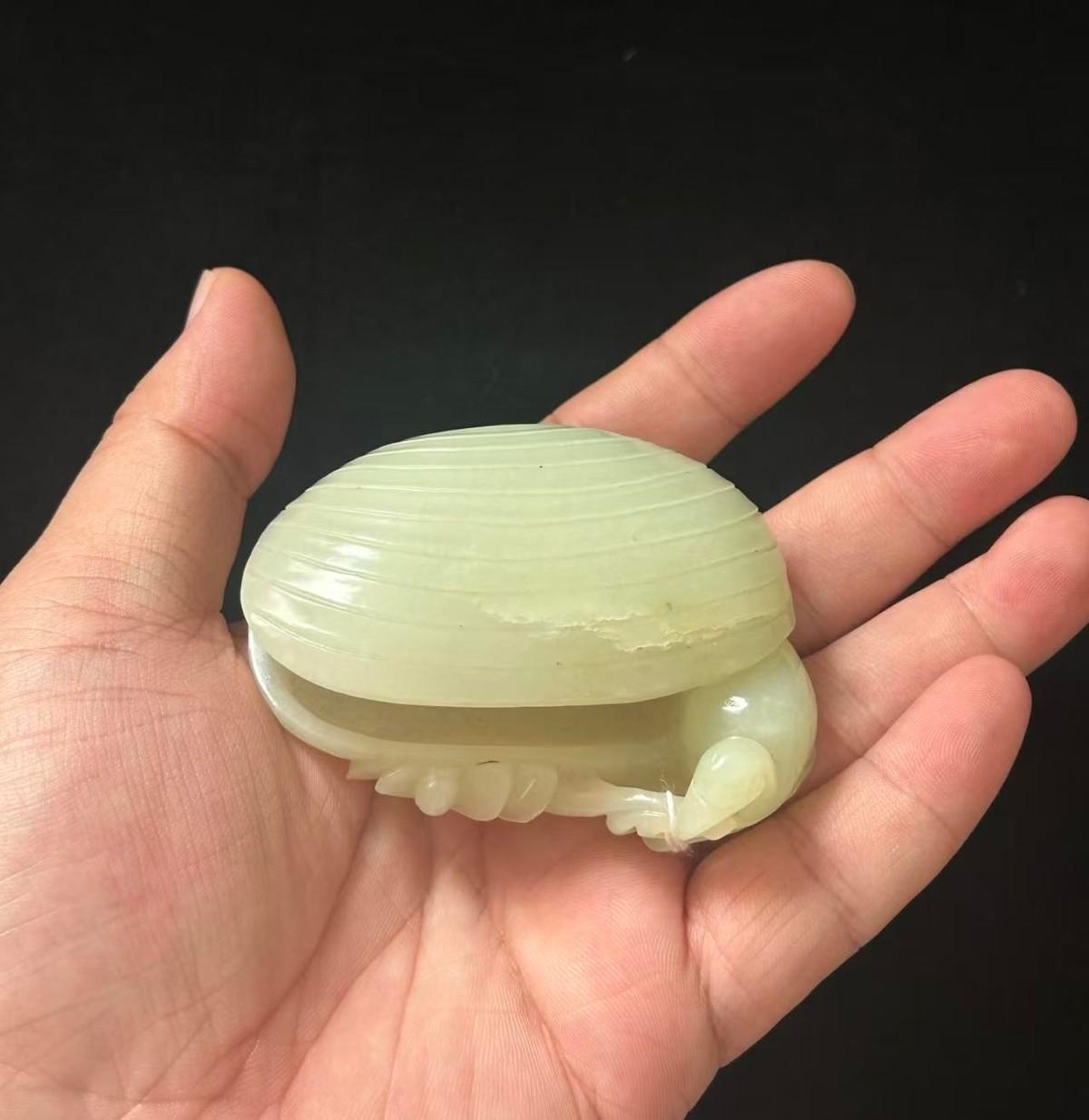 二楼租客退房了，早上去拖地，床底下发现个东西，我以为是肥皂，捡起来一看是个玉贝壳