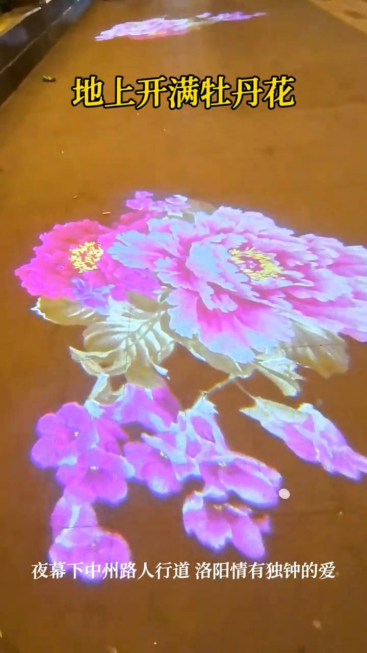 地上开满牡丹花，夜幕下中州路人行道洛阳情有独钟的爱。