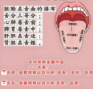 舌诊挑战——今天看完88个舌象！

今天空闲时间比较多，可以继续帮大家看舌象，有