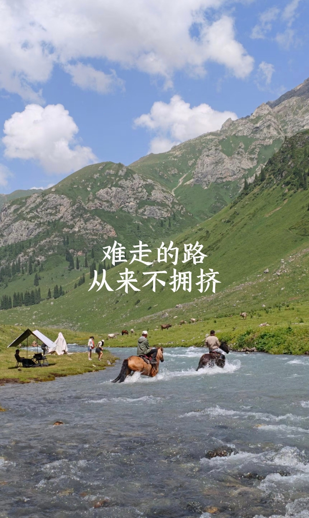 消费在升级！！！今年前五月，国内汽车市场零售端跌幅超19%。大跌眼镜的是，中低端