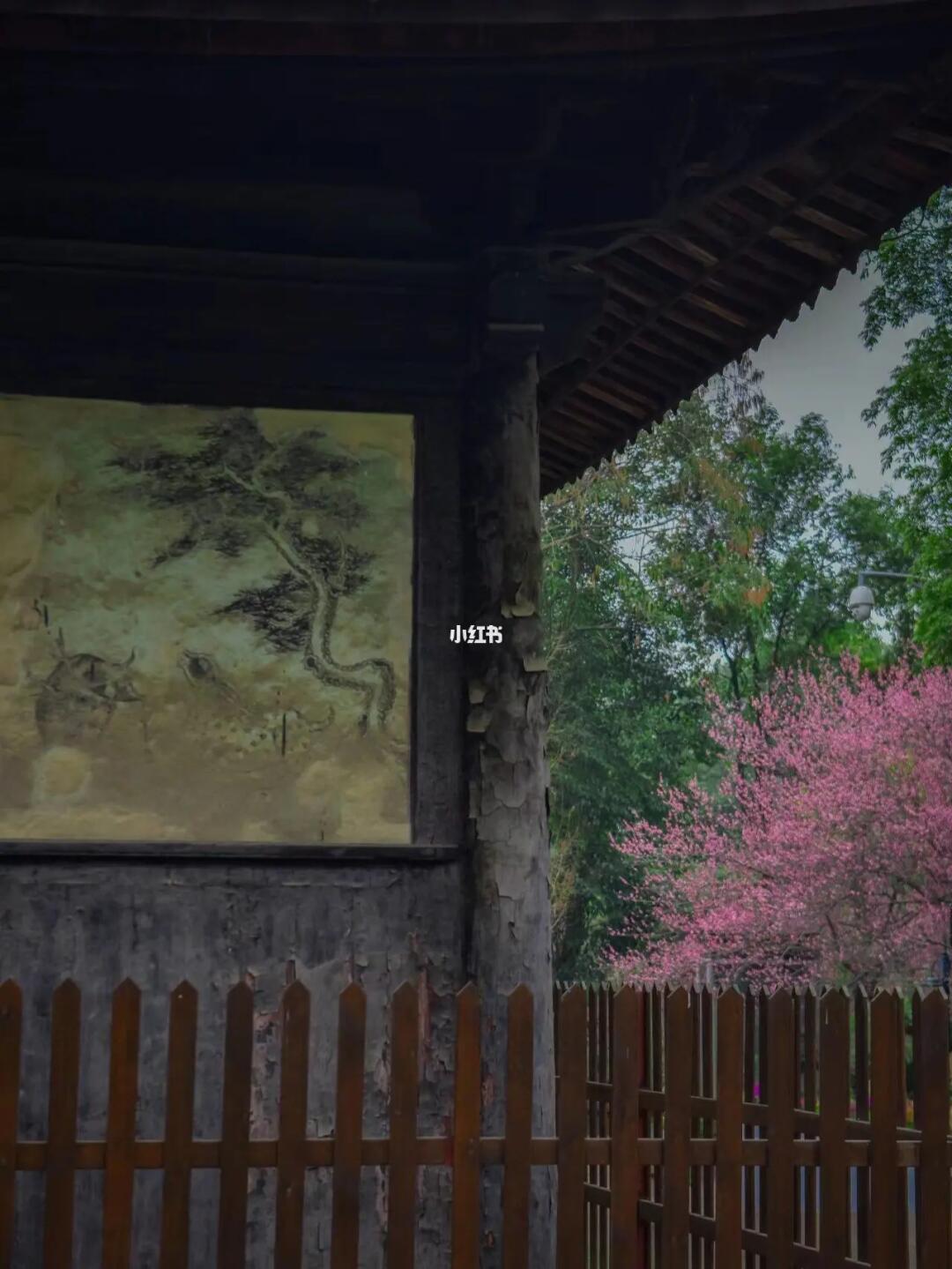 2元公交可到！去明代古寺赏梅花和国宝壁画