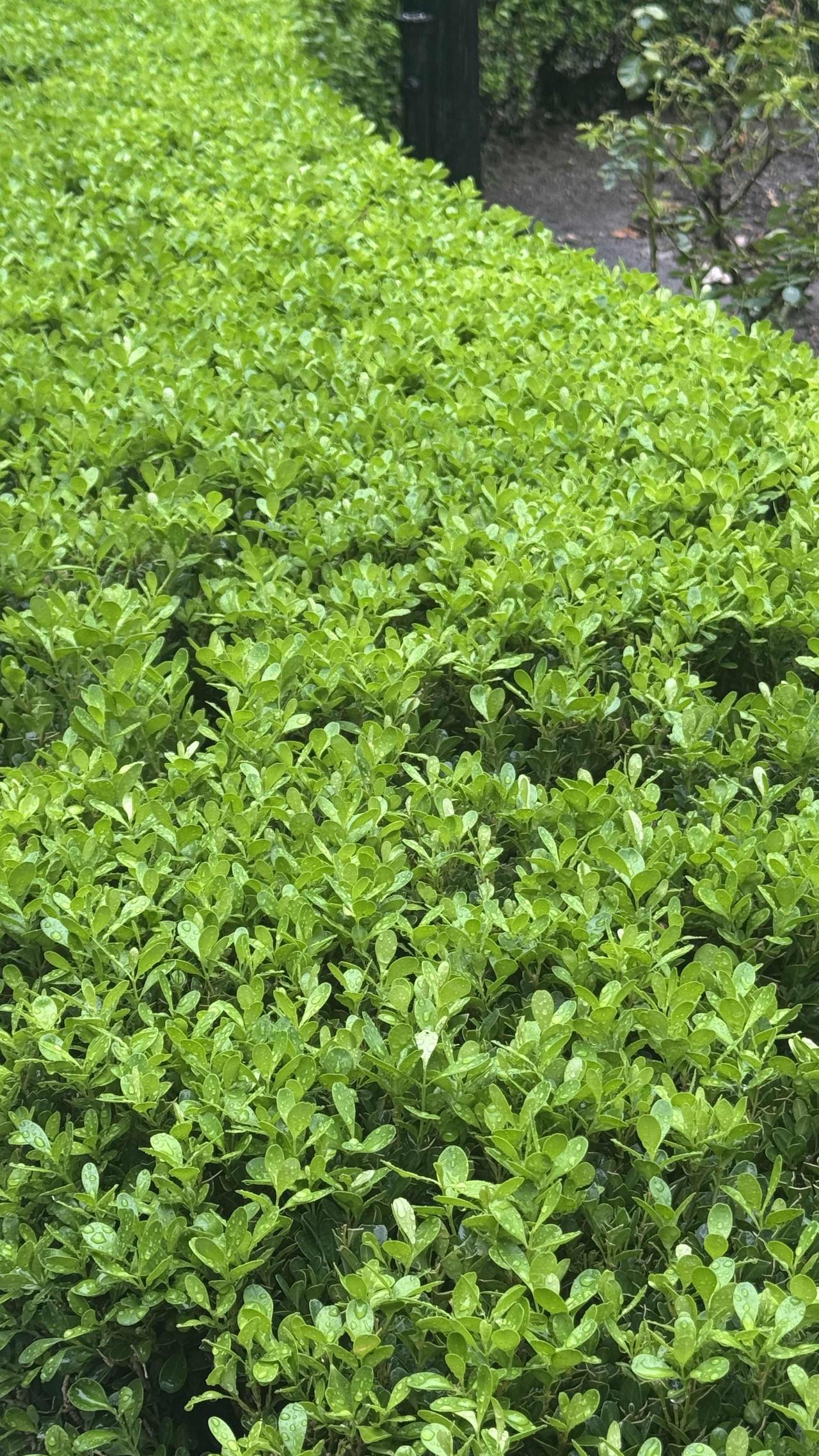 人幸福不幸福，关键不在于你拥有什么，而在于你如何看待自己所拥有的。

隔壁王叔退