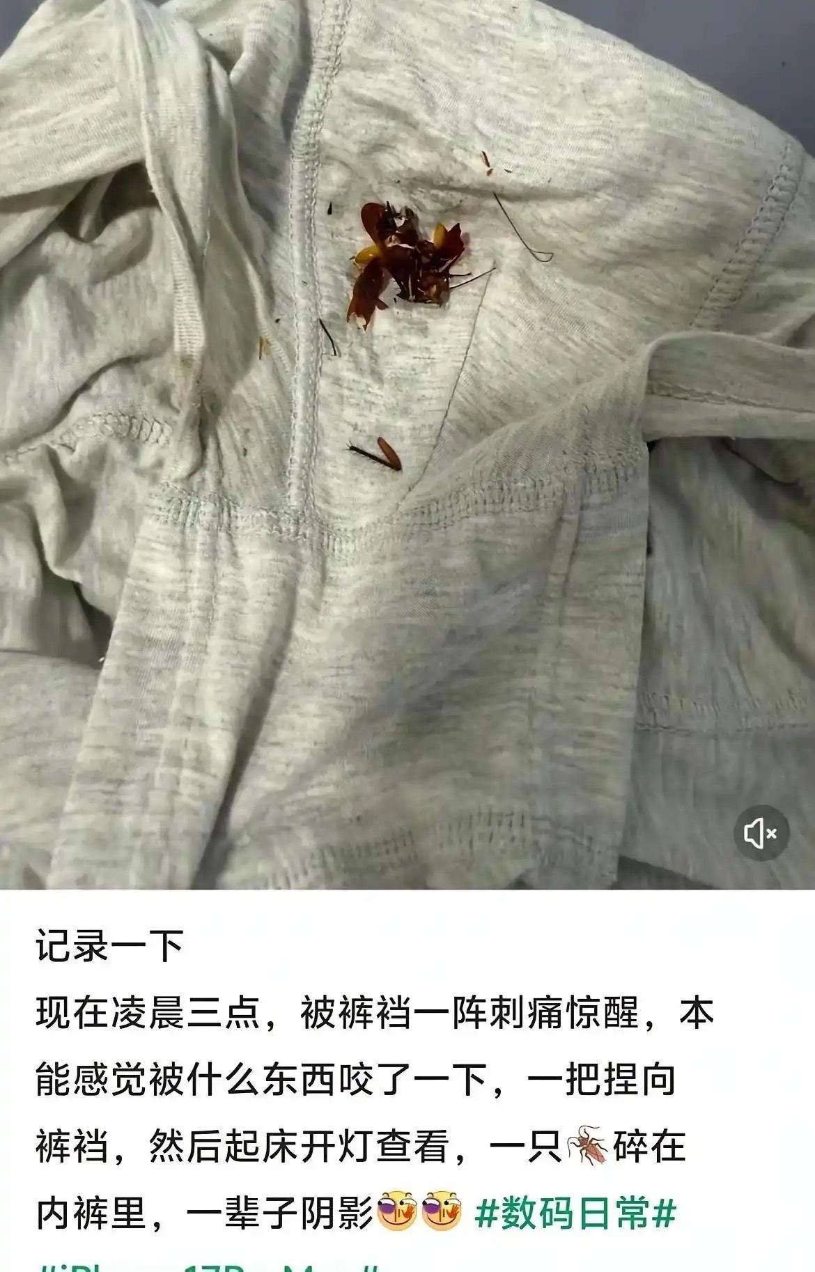 好家伙，这确实是阴影。 