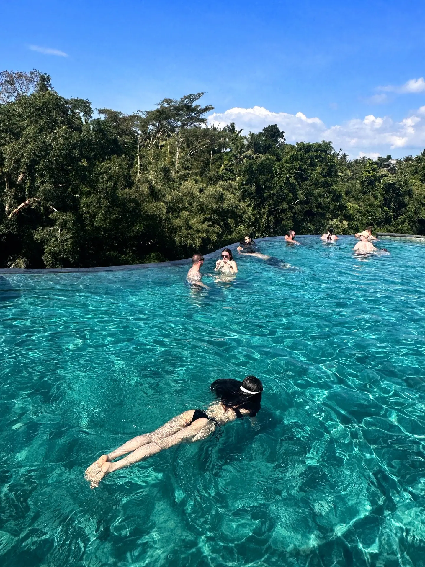 人是漂泊的鸟 爱是移居的岛