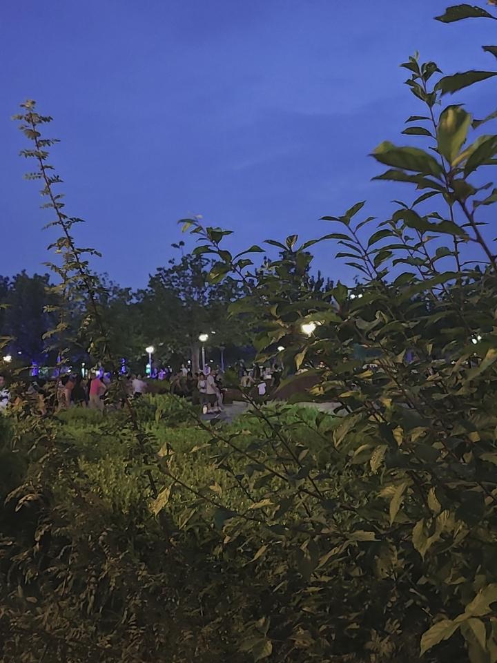 夜幕降临，公园又热闹起来了。
散步美景随手拍 公园治愈系美景 公园一角的景色